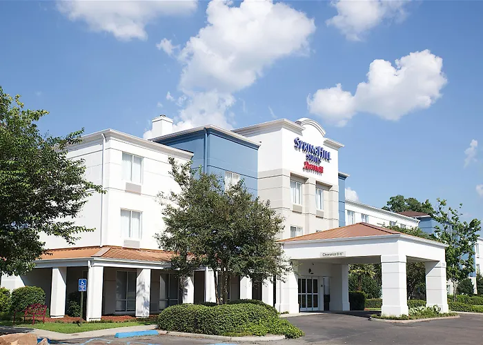Springhill Suites By Marriott Baton Rouge South
