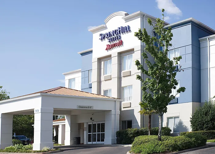 Springhill Suites By Marriott Baton Rouge South